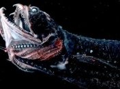 Ученые получили новые сведения о рыбе-драконе