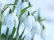 Какой праздник 27 февраля: народные приметы и запреты