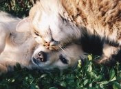 30 липня 2020 - яке сьогодні свято: традиції, заборони і прикмети