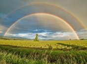 Радуга в небе на самом деле имеет не форму дуги