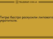 Хватит грустить - веселье продолжается: уморительные анекдоты