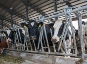 В Украине сократилось сельхозпроизводство  