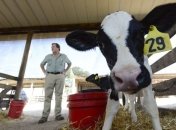 10 причин пить кефир