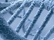 Британские ученые нашли "гены силы"