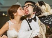 Смех до слез: убойные свадебные снимки с животными 