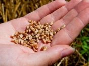 Украина в 2012г соберет 47 млн тонн зерновых 