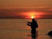 Рыбные запасы Балтики оказались хуже прогнозируемых: ЕС ограничит вылов