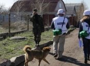 ОБСЕ подтвердила неконтролируемый поток людей в ПП "Гуково" и "Донецк"