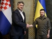 Володимир Зеленський та Андрій Пленкович