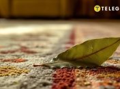 Лавровый лист обладает мощной положительной энергетикой (изображение создано с помощью ИИ)