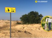 Олешковские пески в Херсонской области