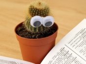 Обучение на карантине: треть школьников потеряла интерес к учебе 