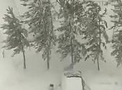 В апреле на Казахстан обрушился снежный буран (Видео)