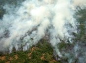 Военные помогут тушить пожары в Амазонии