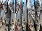 Медики рассказали, как скумбрия помогает справиться с артритом