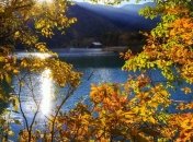 Погода в Украине на сегодня: будет тепло и солнечно 