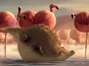 Если бы животные дикой Африки ели фаст-фуд (ВИДЕО)