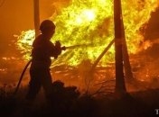 Пожары в Португалии: полиция задержала 61 подозреваемого в поджогах