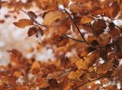 11 сентября - праздник, что категорически запрещено делать, главные приметы