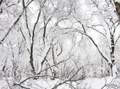 В Житомире мужчина погиб от переохлаждения