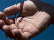 Исследование: тестирование канализации может помочь предсказать вспышки COVID-19