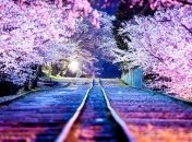 Завораживающие снимки улиц, которые открывают неизвестную сторону Японии (Фото)