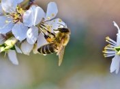 Приметы и обряды на 28 апреля – Пудов день, Святой Андрей