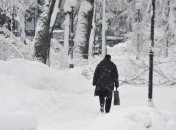 От морозов в Европе погибло по меньшей мере 61 человек