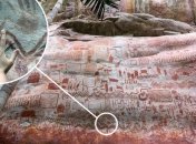 В Амазонии нашли рисунки с гигантскими животными ледникового периода (фото)