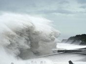 Тайфун "Хагибис" потопил панамское грузовое судно