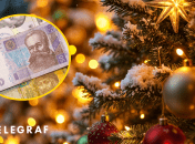 Стали известны первые цены на елки