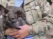Во Львове наградили собак-героев,которые помогали военным на Донбассе (Фото)