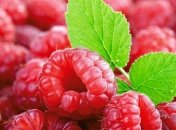 Топ-10 продуктов от страшной депрессии 