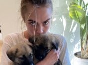 Британська модель Кара Делевінь та її кохана Ешлі Бенсон завели домашніх тварин