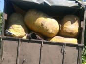 На Сумщине сотрудники ГПСУ со стрельбой задержали грузовик с контрабандой