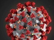 Стало відомо, скільки на поверхні може жити коронавірус