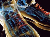 Женщинам не нравятся носки, надетые вместе с сандалиями