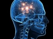 Фантастические романы лучше всего влияют на мозг