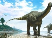 На Мадагаскаре ученые обнаружили "убийцу динозавров"