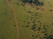 В Бразилии обнаружили удивительную находку