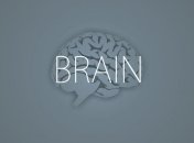 Мозг человека синтезирует успокаивающее вещество