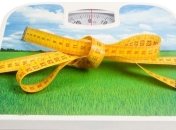 Легкая голландская диета 