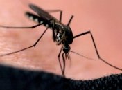 Как защититься от кровососущих насекомых