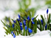 "Апокалипсис" в Киеве и неожиданное потепление среди недели: синоптики рассказали о погоде на ближайшие дни