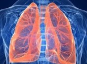 Ученым удалось вырастить человеческие легкие