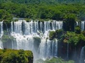 "Огромный запас вирусов": экологи назвали место следующей пандемии