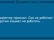 Долой скуку и плохое настроение: подборка веселых анекдотов