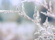 29 января - приметы и обряды в Петров день