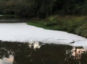 Опасные химикаты стекают прямо в Днепр: река в столице покрылась белой пеной (видео)