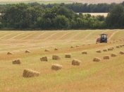 Украина увеличила экспорт зерна 